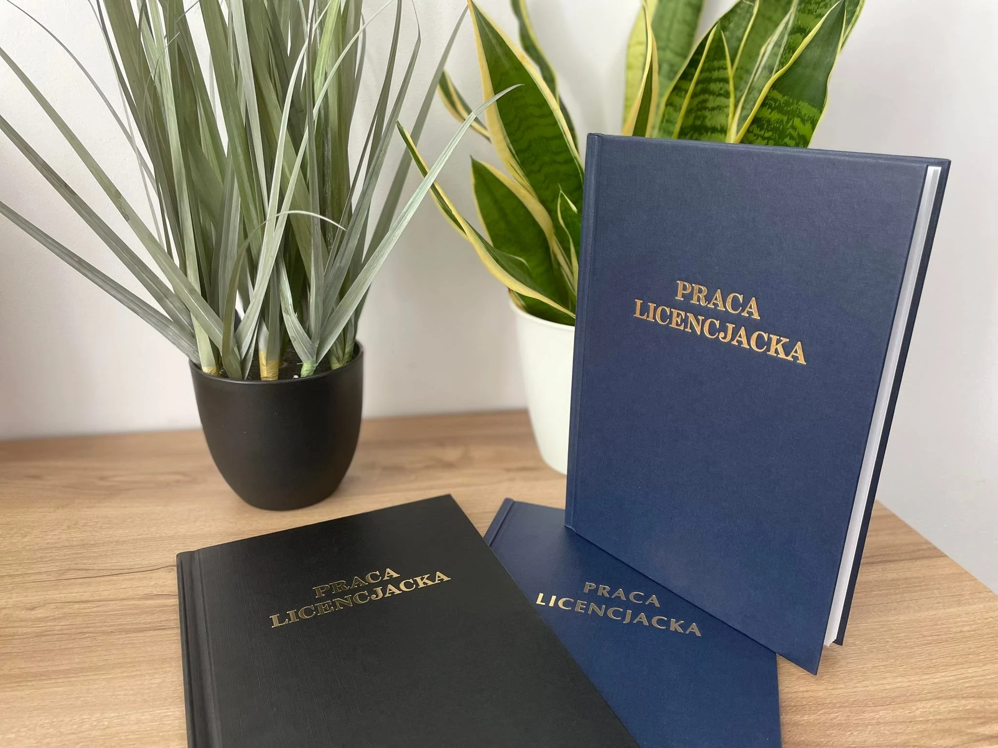 Przykładowa Praca Licencjacka Zarządzanie Pdf - Jak pisać licencjat i nie zwariować?